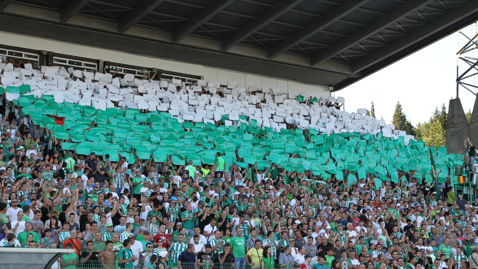 beroe-hapoel_fans2