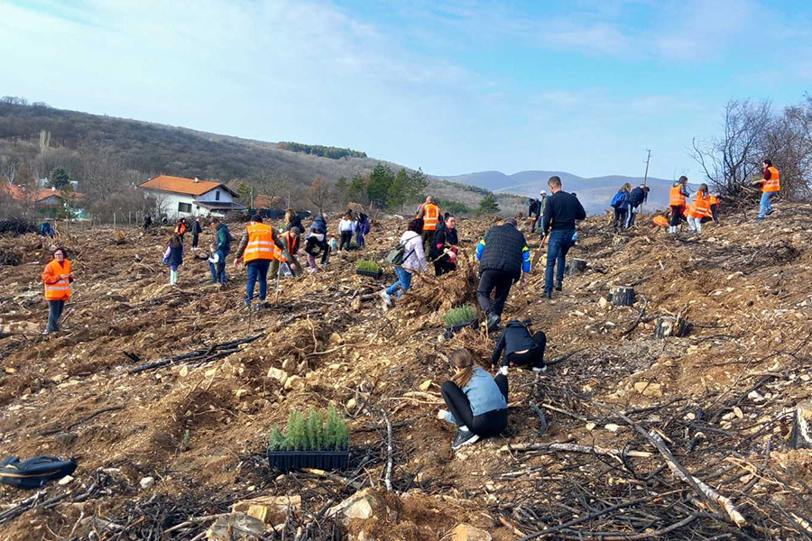 Граждани откликнаха на призива за залесяване на изгорелите терени над Стара Загора