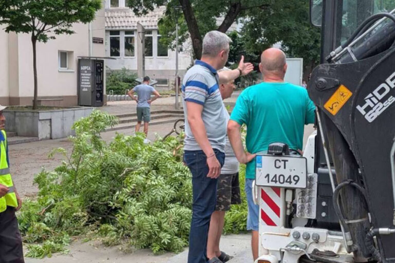 Няма сериозни щети след бурята в Стара Загора, 7 екипа и 2 вишки работят от сутринта на терен