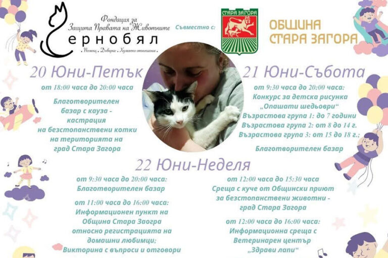 Участниците в „Бедечка фест“ може да се запознаят с куче от Общинския приют в Стара Загора